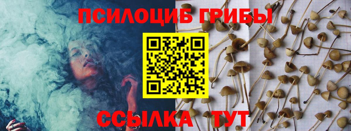 цена наркотик  Псилоцибиновые грибы Psilocybe  Галлюциногенные грибы MAGIC MUSHROOMS  Вход с VPN  Мурино 