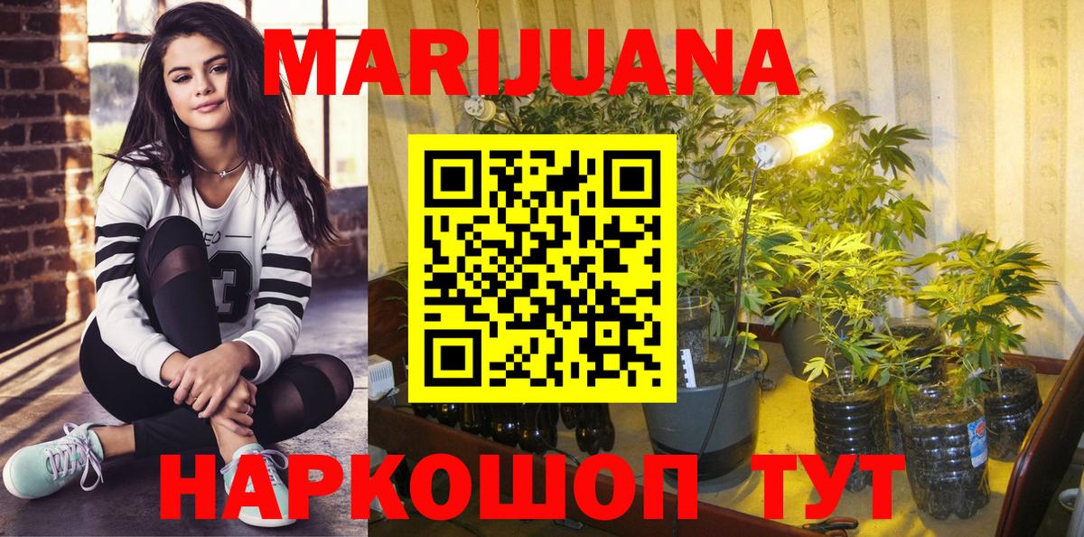 Мурино  Бошки марихуана THC 21%  Шишки марихуана THC 21%  Вход с VPN  Бошки марихуана Ganja 